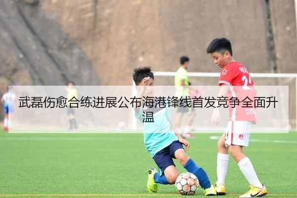 武磊伤愈合练进展公布海港锋线首发竞争全面升温（milan.com）