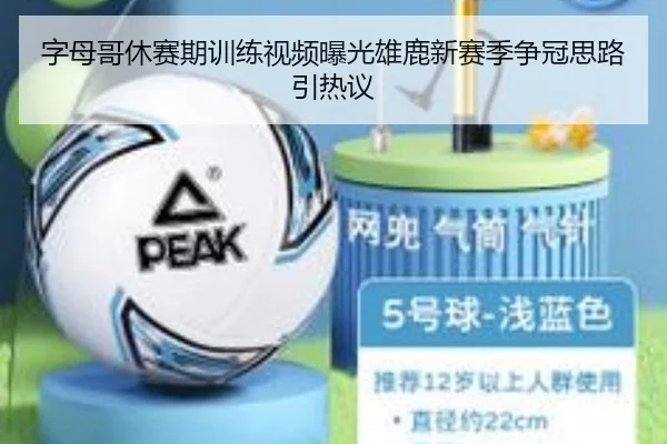 字母哥休赛期训练视频曝光雄鹿新赛季争冠思路引热议（milan.com）
