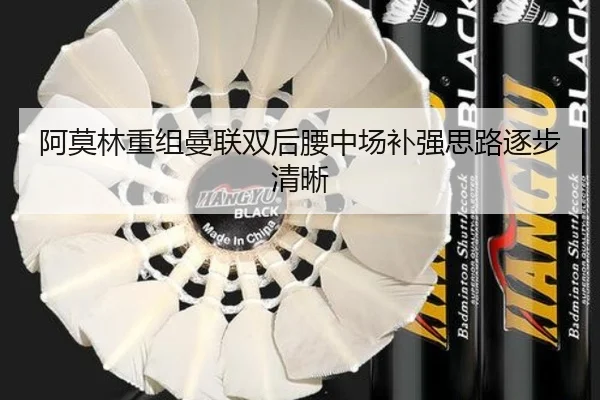 阿莫林重组曼联双后腰中场补强思路逐步清晰（milan.com）